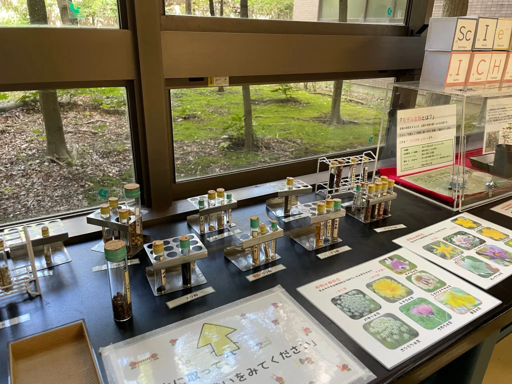 市川学園文化祭＿化学展示